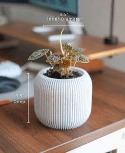 Vela Pot 3d model