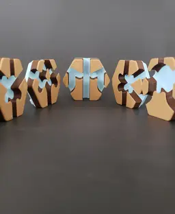 Hextraction AY Trap Tile 3d model
