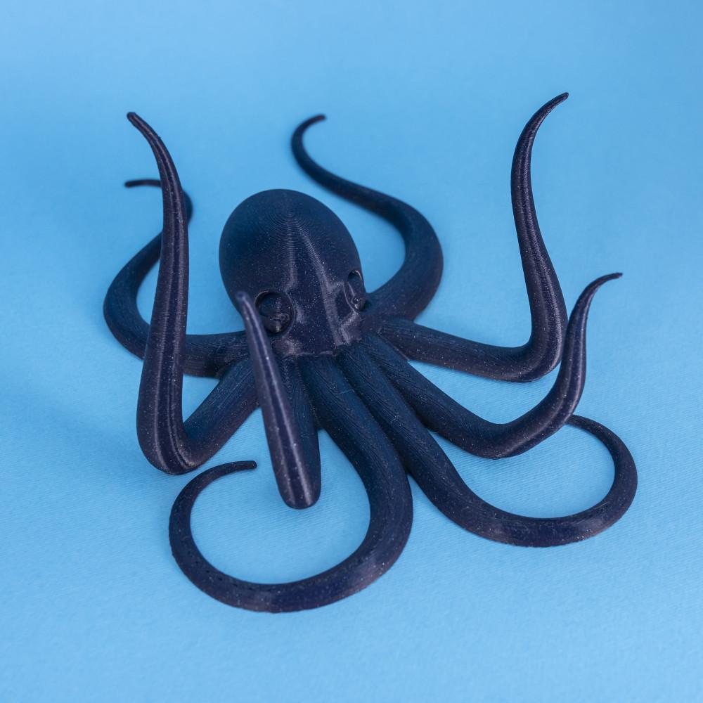 Octopus Wall Art/Hanger 3d model