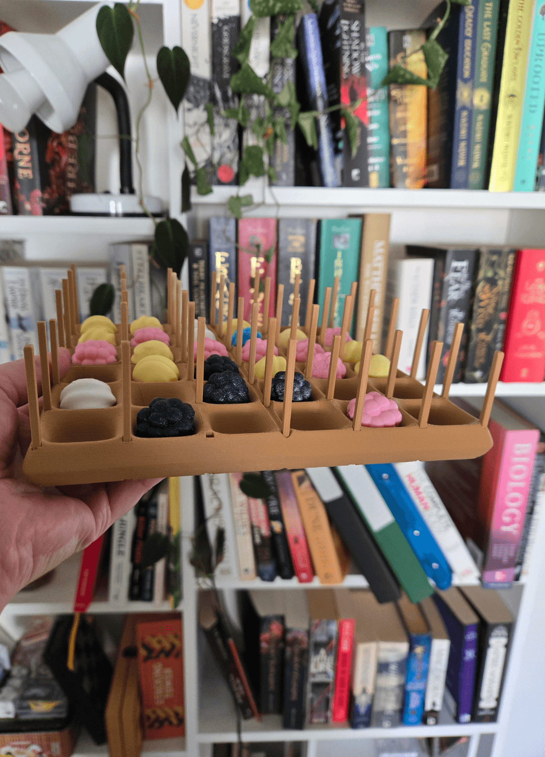 Waffle Bouncy Connect Four 3d model