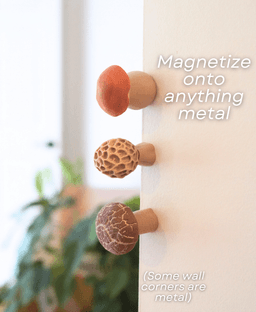 Magnetic Mushrooms - Fidget Toy with Magnetics, Joystick, Slider, Pop Fidgets - Pocket Plants 3d model