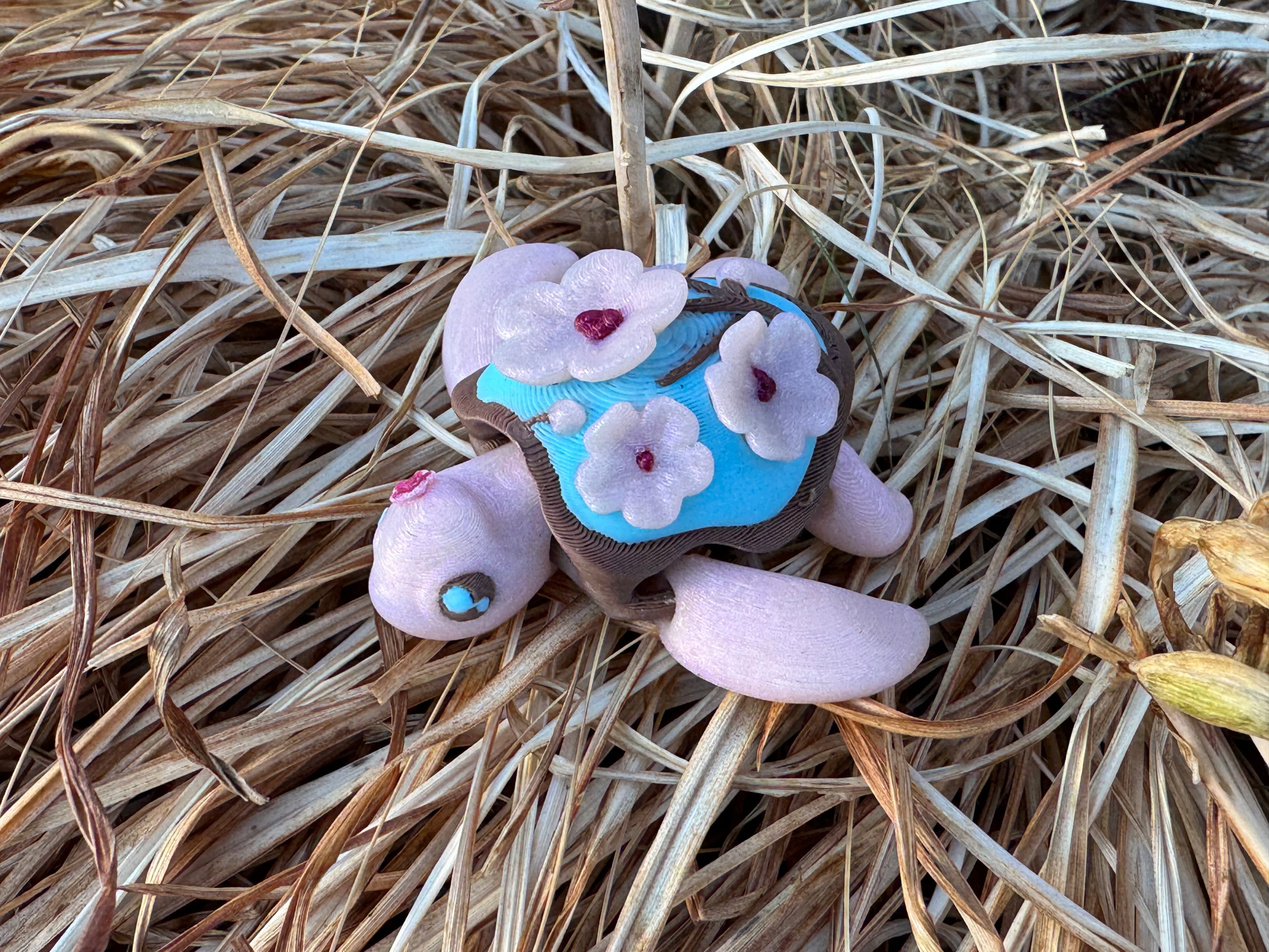 Cherry Blossom Turtle 3d model