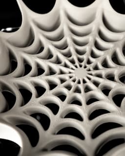 Spider Web Tray by MODERN MACHINE 3d model