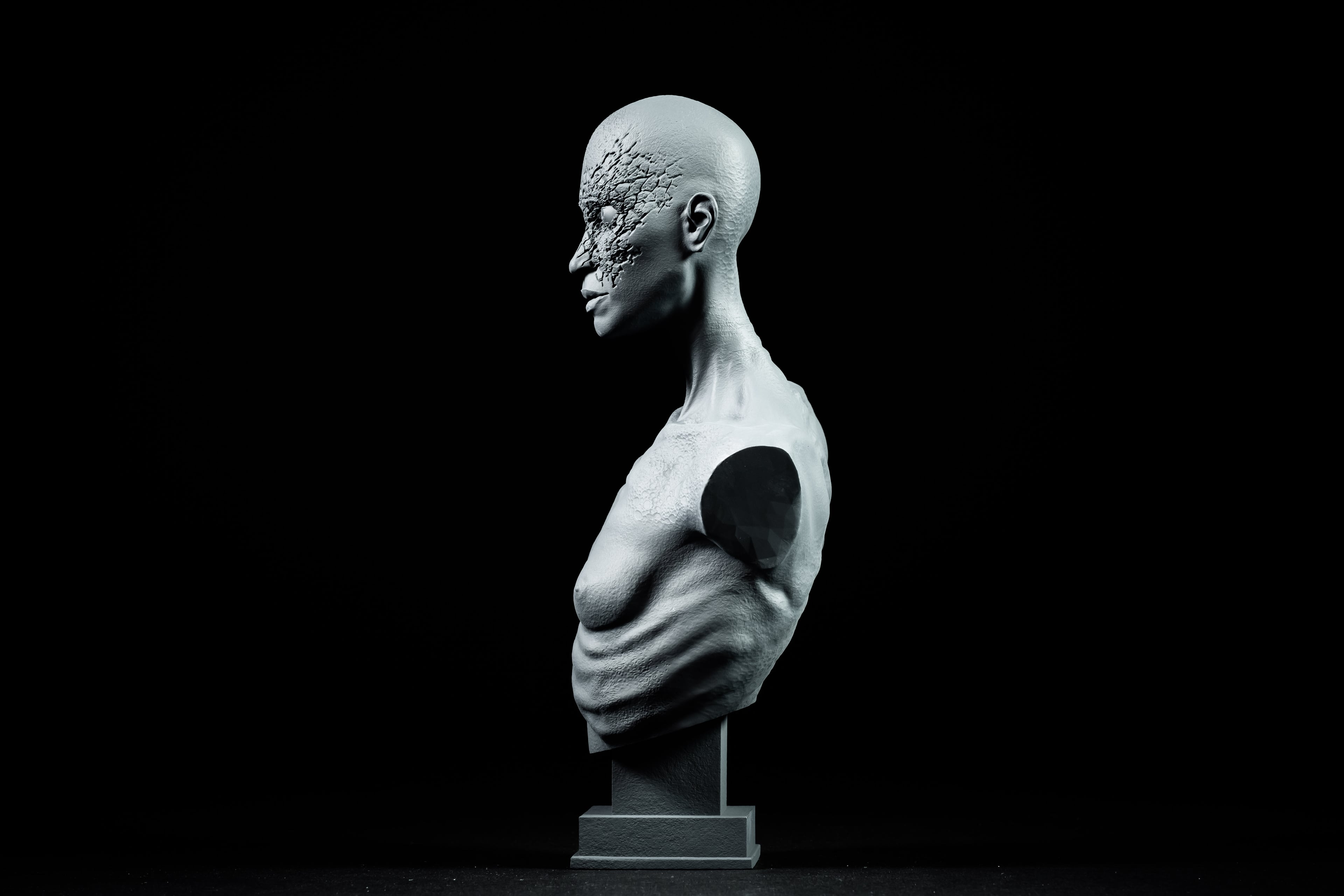 Broken Will 3d model
