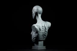 Broken Will 3d model