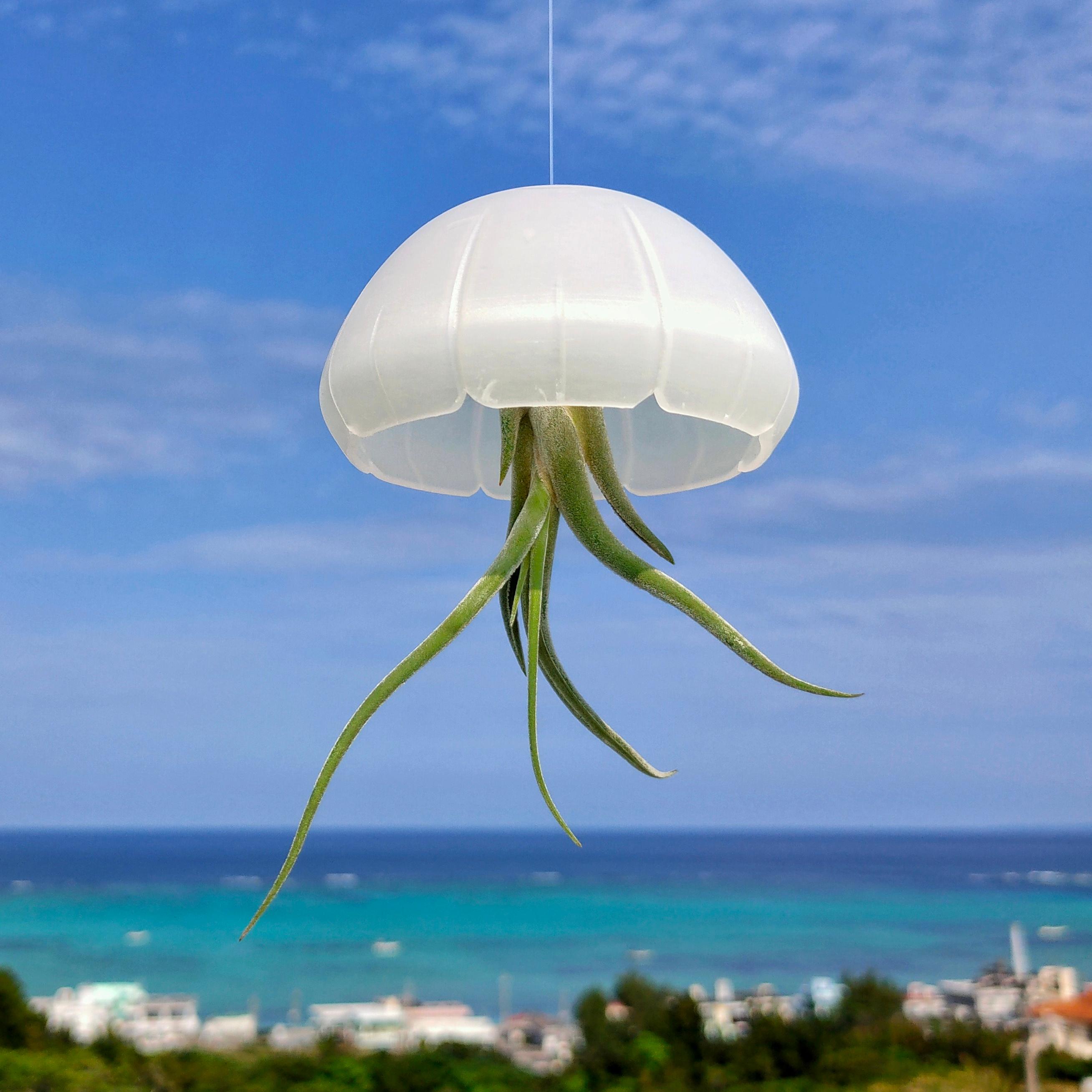Jellyfish air plant holder 3d model
