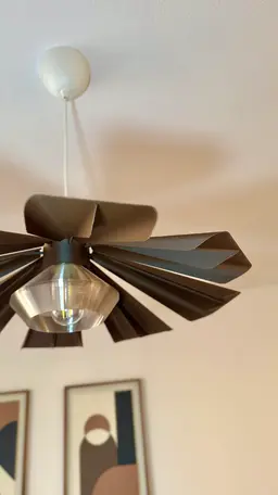 Fin Pendant Lamp 3d model
