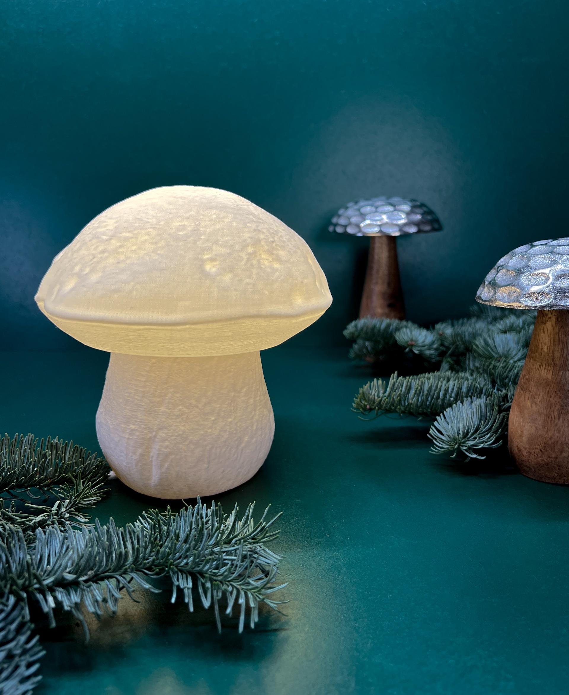 Table lamp “Edulis Fungus” organic - This Mushroom Table lamp gives us some cozzy vibes and makes  our room to a wonderful and relaxing space - 3d model