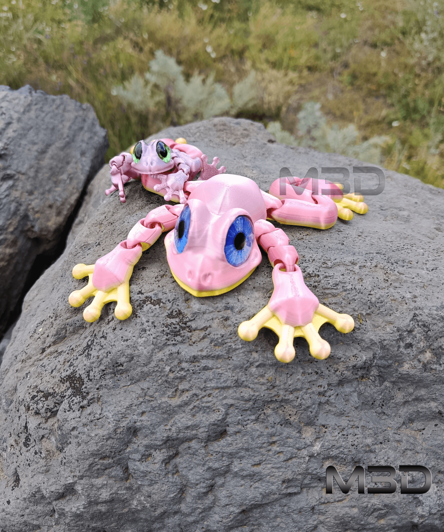 Flexi Toon Tree Frog / no supports / 3mf included 3d model