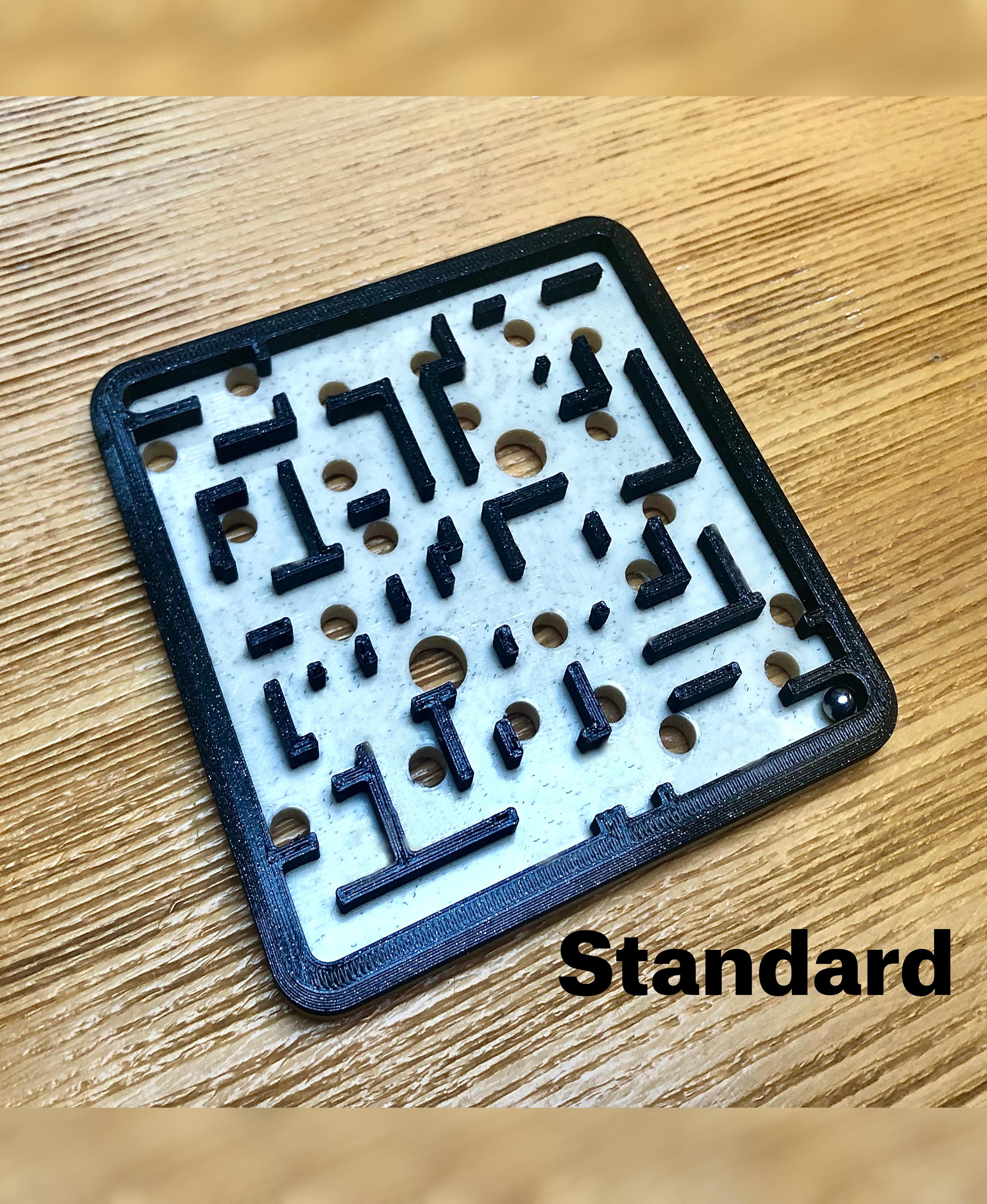 Wild Holes Maze - Standard 3d model