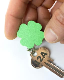 Clover // Flatland Keychain Magnet 3d model