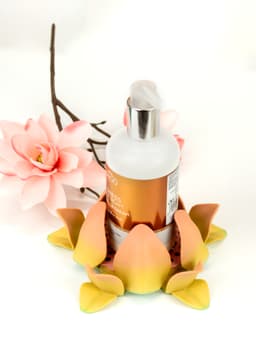 Flower: Self-Adjusting Coaster 3d model