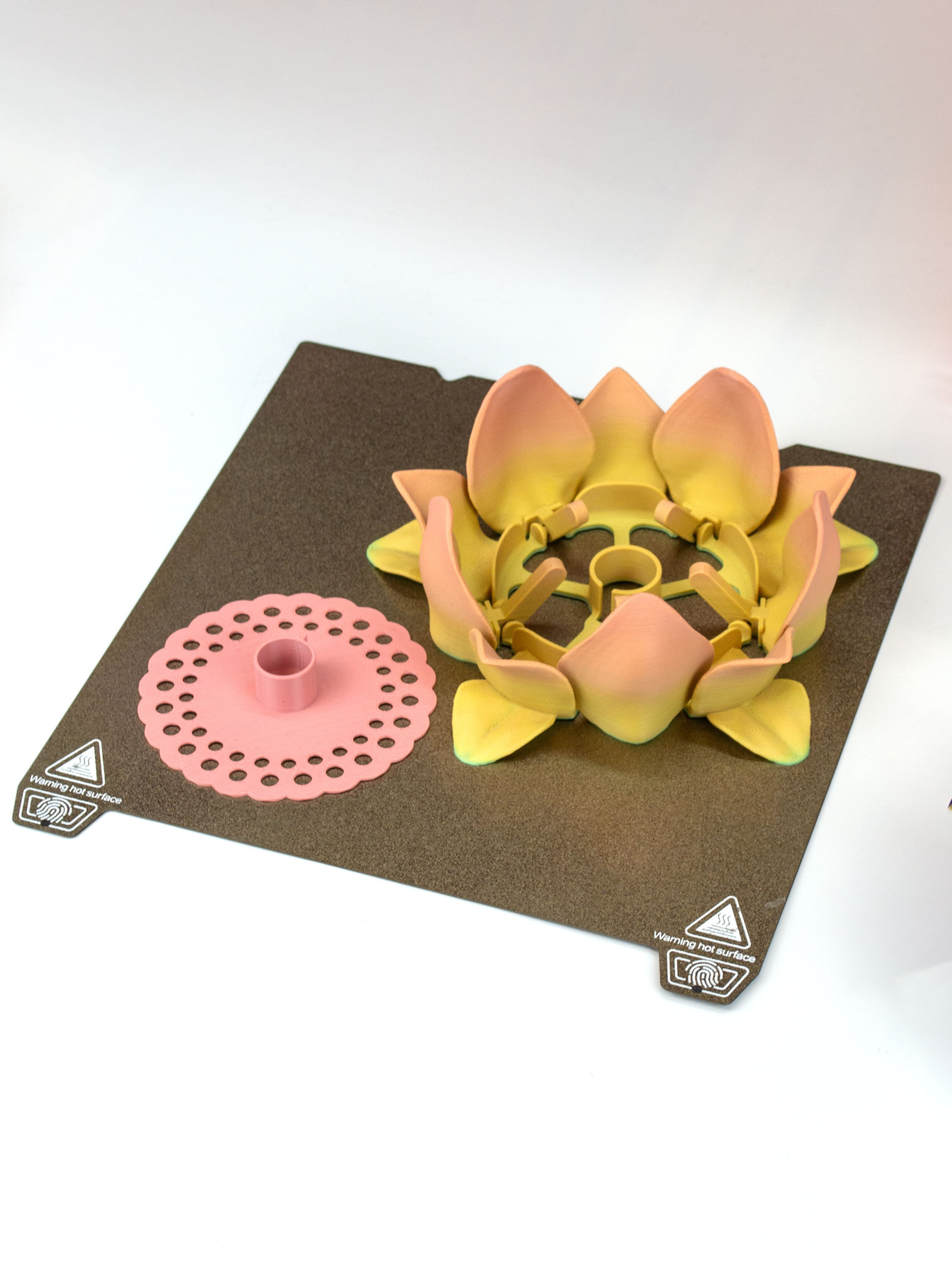 Flower: Self-Adjusting Coaster 3d model