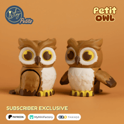 Petit Owl 3d model