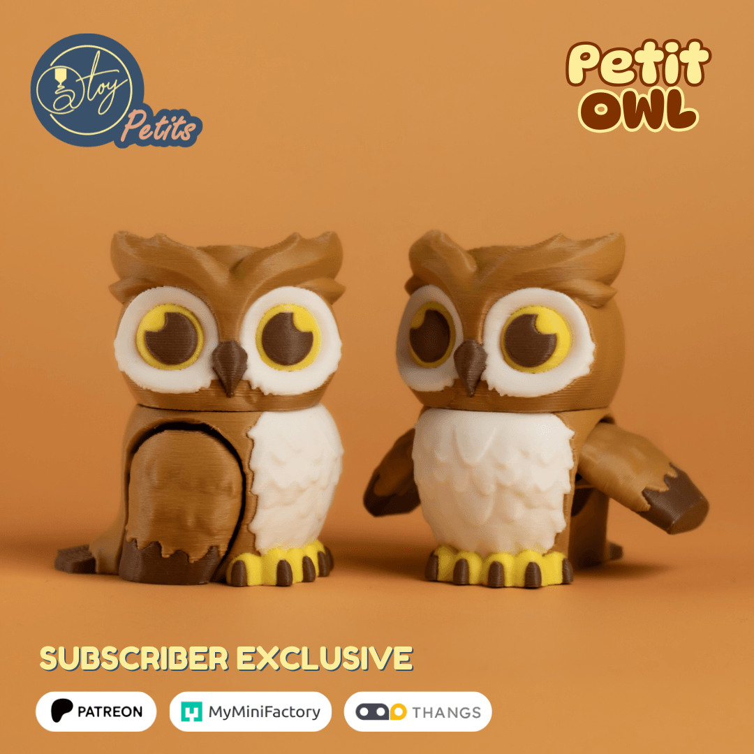 Petit Owl 3d model