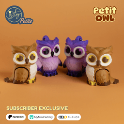 Petit Owl 3d model