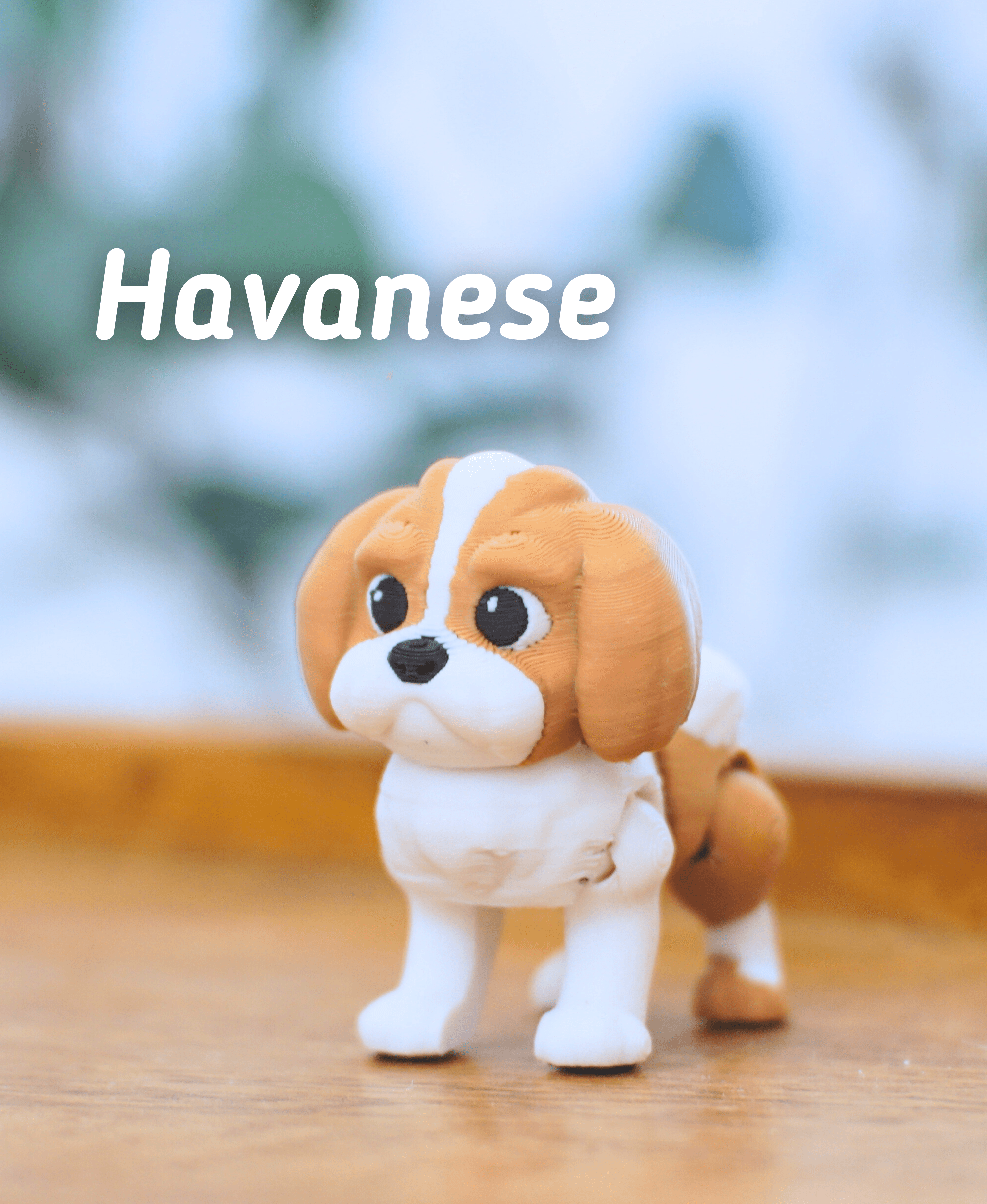 Ludo Havanese -Articulated Fidget Dog 3d model