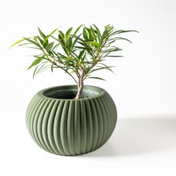 The Roni Planter Pot with Drainage Tray & Stand: Modern and Unique Home Decor for Plants 3d model