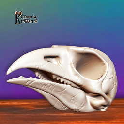 Prehistoric Bird Skull Desert Predator Home Decor 3d model