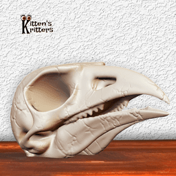 Prehistoric Bird Skull Desert Predator Home Decor 3d model