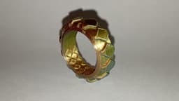 Fidget Ring Rombos y Hojas de Olivo 3d model