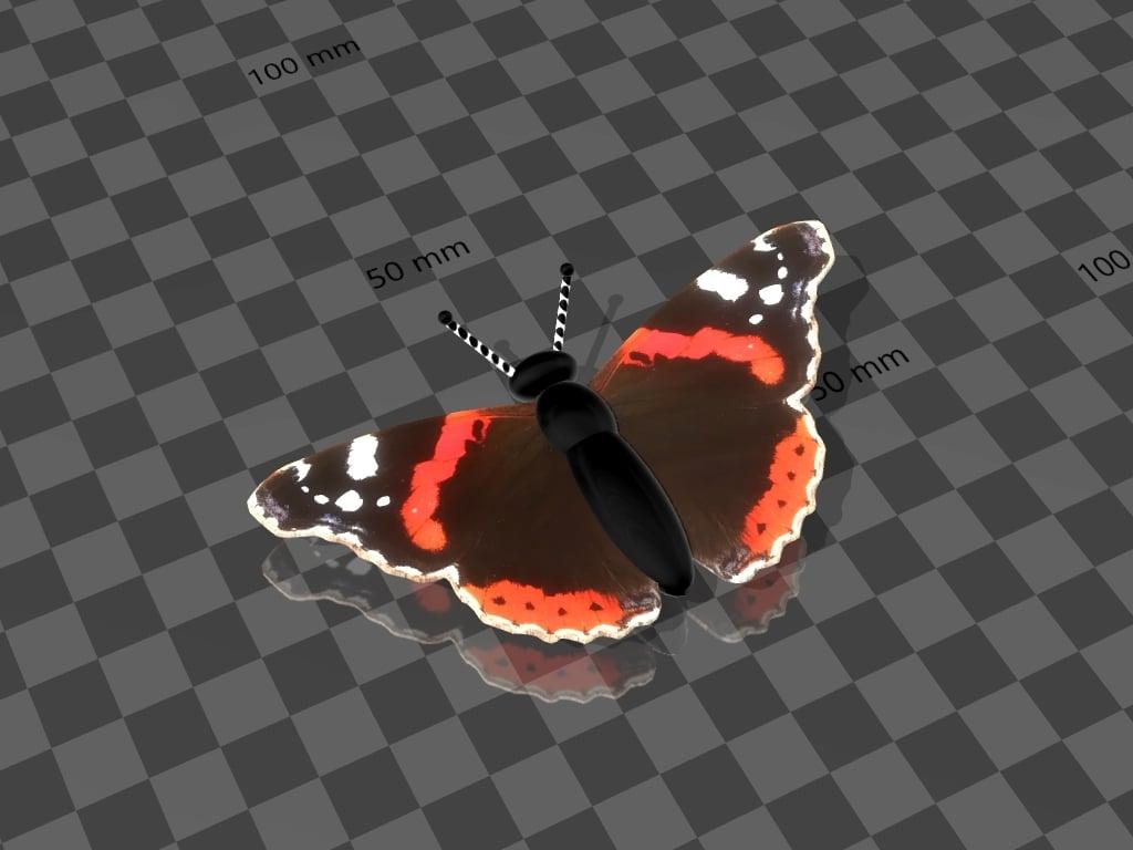 butterfly / schmetterling  3d model