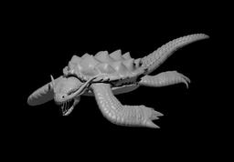 Dragon Turtle - Dragon Turtle - 3d model render - D&D