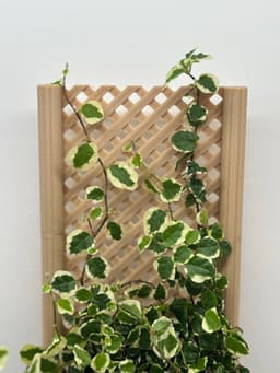 Modular Planter with Infinite Trellis – Stackable System with Water Reservoir & Assembly 3d model