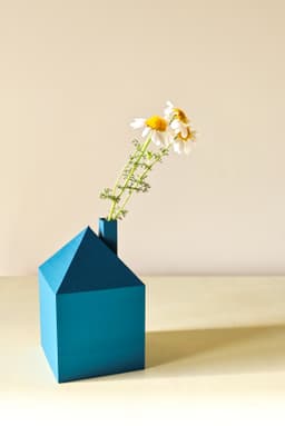 Flome V3 3d model