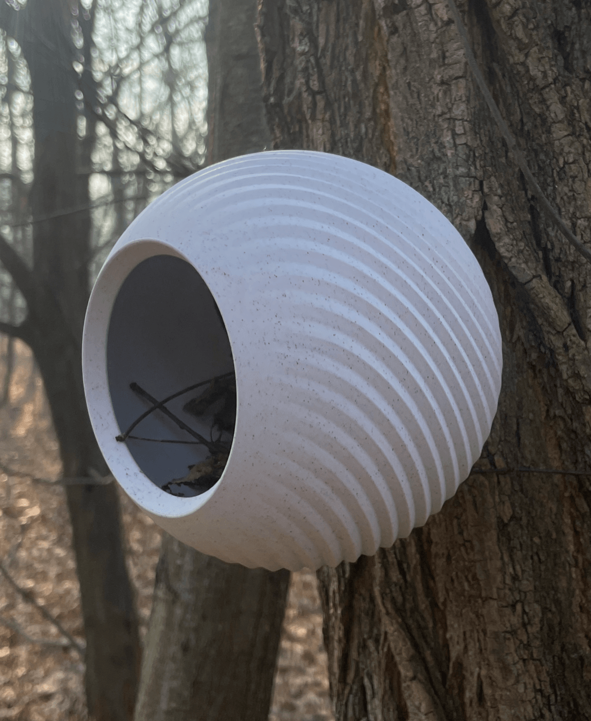 Pod, bird house. 3d model