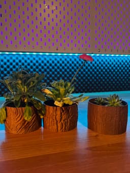 Wooden Vases 3d model