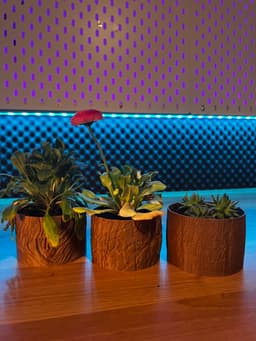 Wooden Vases 3d model