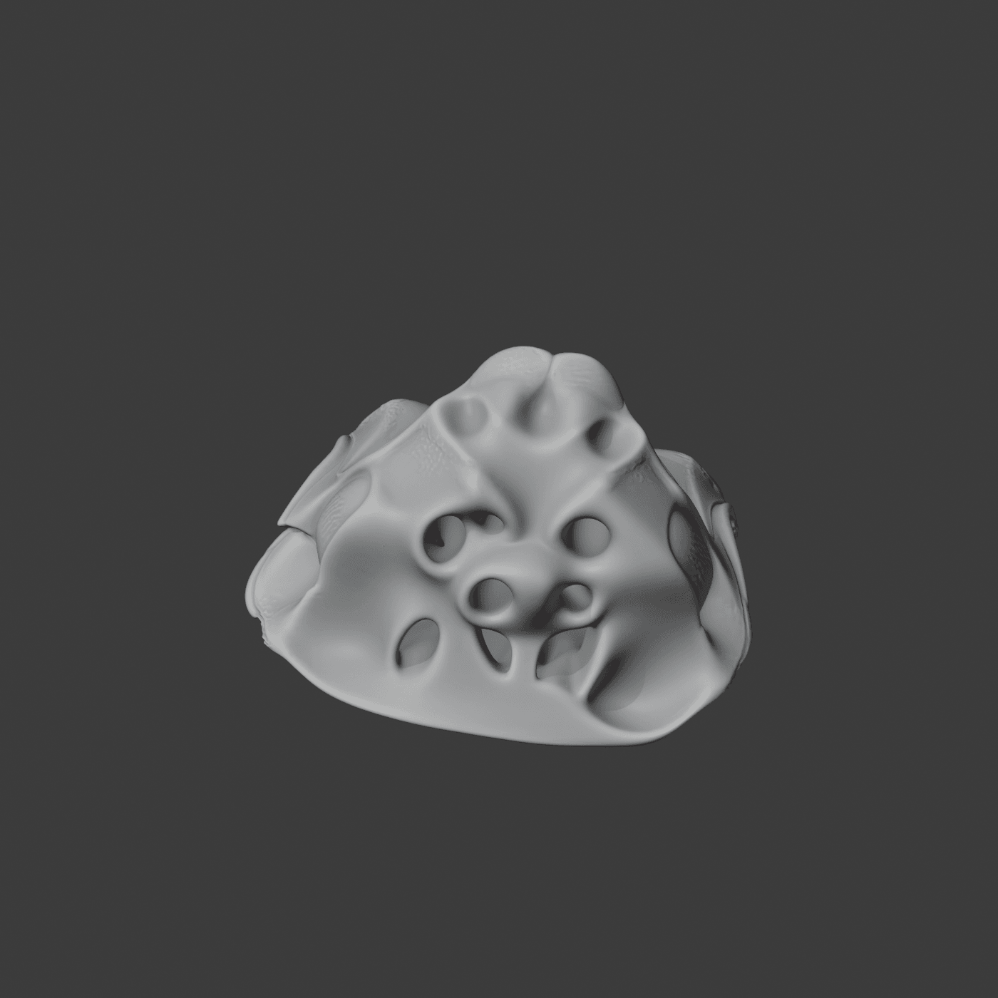 Fin Whale Skull.stl 3d model