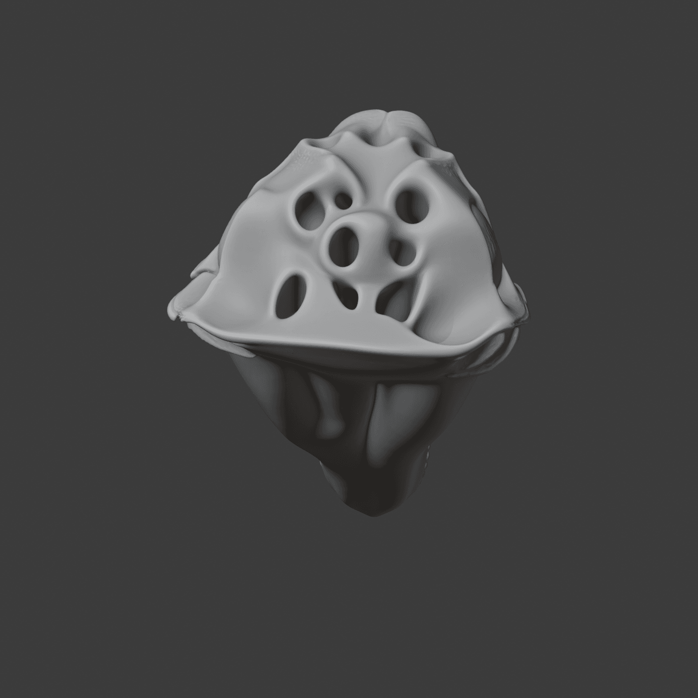 Fin Whale Skull.stl 3d model