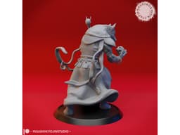 Coyote Necromancer - Tabletop Miniature 3d model