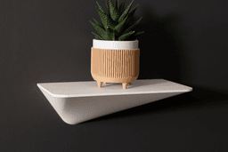 Asymmetric Shelf 3d model