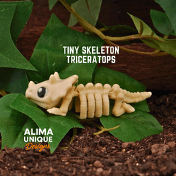Tiny Skeleton Triceratops 3d model