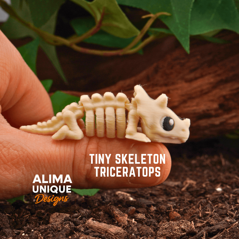 Tiny Skeleton Triceratops 3d model