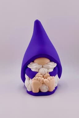 Shy Guy Gnome Set 3d model