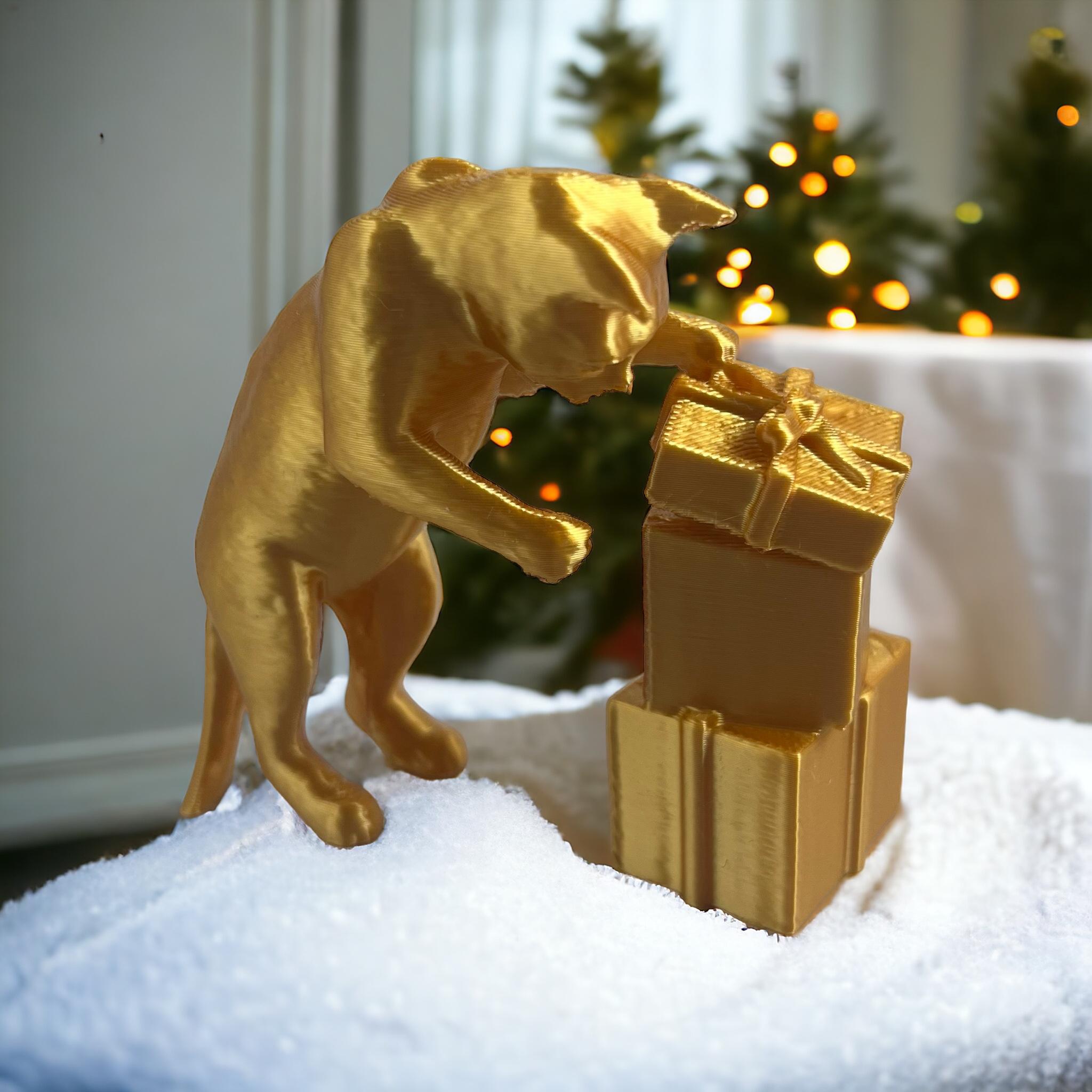 Christmas gift Cat 3d model