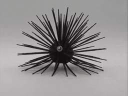Sea Urchin whit TPU Prick 3d model