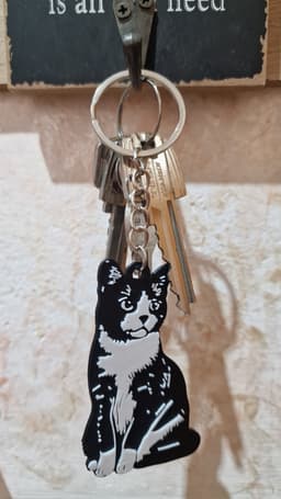 Aegean keychain + magnet 3d model