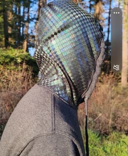 Diamond Hood 3d model