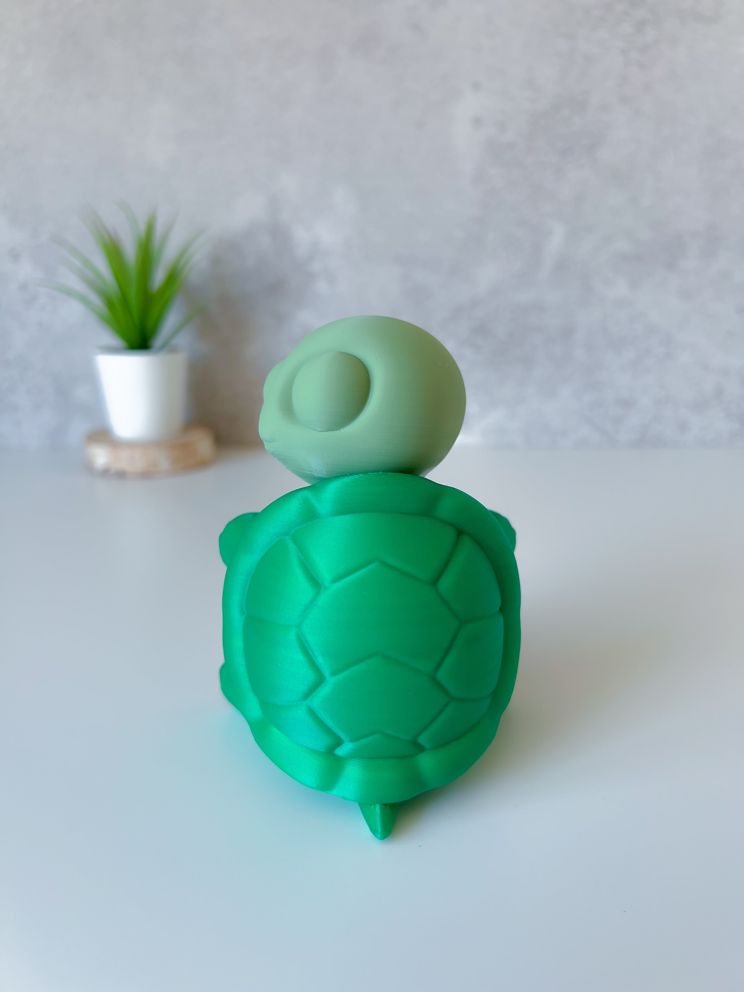 Clicky Turtle 3d model