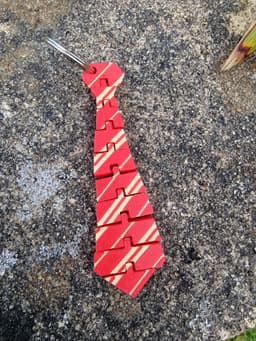 Articulated Wizard School Tie 3d model