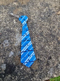 Articulated Wizard School Tie 3d model