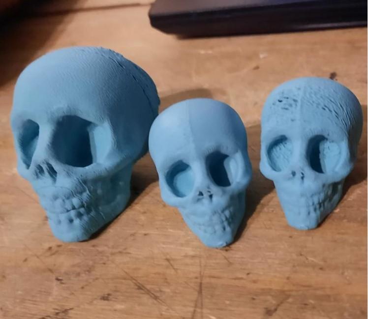 skull game anatomically inaccurate skull model 3d model