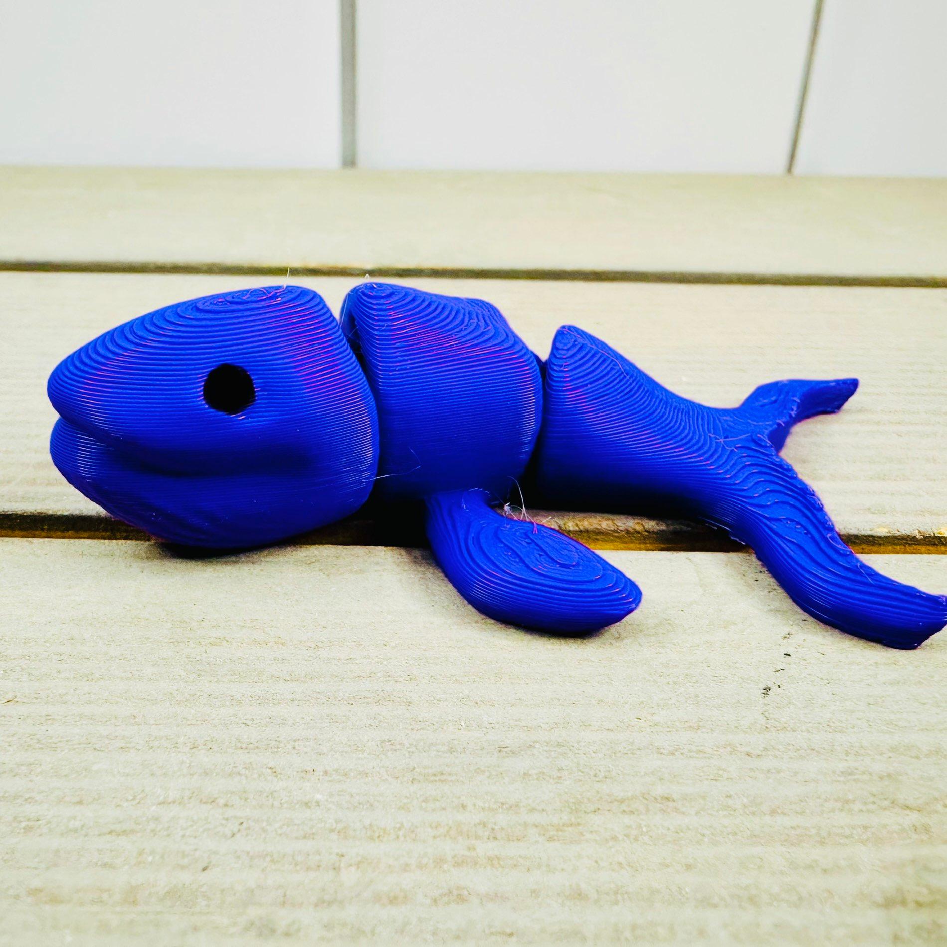 Baby Blue Whale 3d model