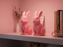 Cute Bunny 3d model