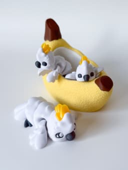 Cockatoo Flexi 3d model